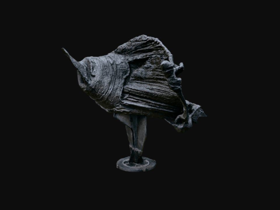 Shell captured with Plinth